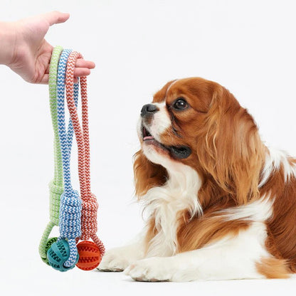Dog Ball Toy with Rope Interactive Interactive Leaking Balls for Small Medium Dogs Chewing Bite Resistant Pet Tooth Cleaning - key words