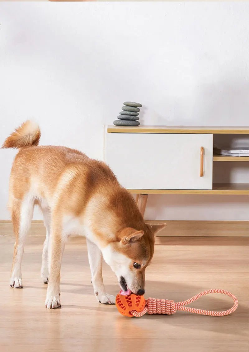 Dog Ball Toy with Rope Interactive Interactive Leaking Balls for Small Medium Dogs Chewing Bite Resistant Pet Tooth Cleaning - key words