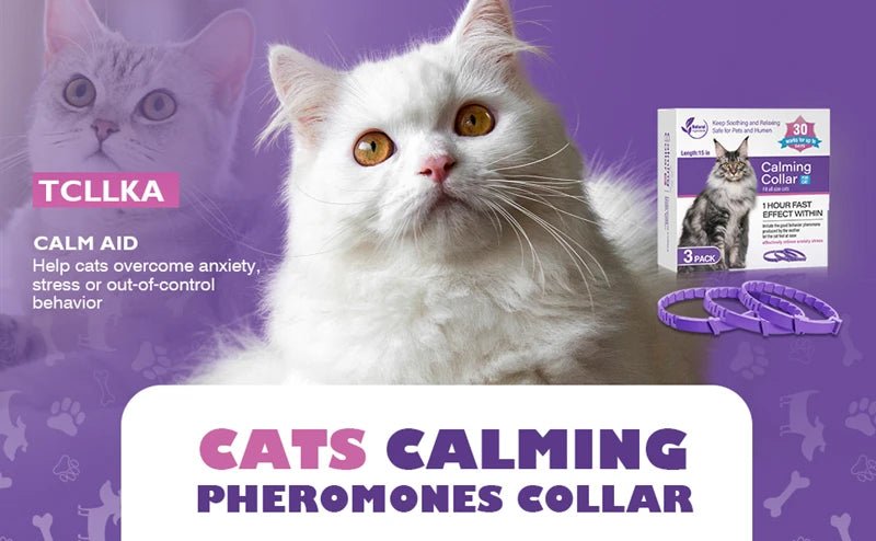 3/4 Pc Dogs Calming Pheromone Collars Cats Relieve Anxiety Adjustable Comfortable Collar For Puppy Kitten Large Pets Accessories - key words