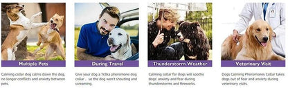 3/4 Pc Dogs Calming Pheromone Collars Cats Relieve Anxiety Adjustable Comfortable Collar For Puppy Kitten Large Pets Accessories - key words