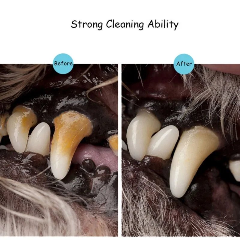 Pets Teeth Cleaning Tool - Everpeakgoods