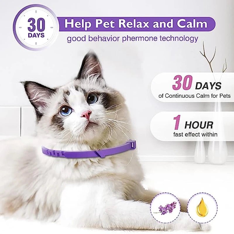 3/4 Pc Dogs Calming Pheromone Collars Cats Relieve Anxiety Adjustable Comfortable Collar For Puppy Kitten Large Pets Accessories - key words
