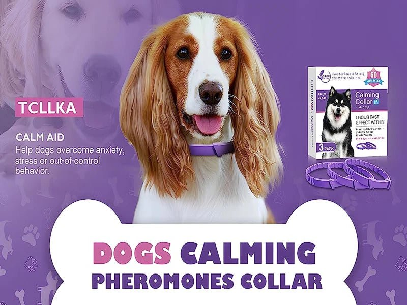 3/4 Pc Dogs Calming Pheromone Collars Cats Relieve Anxiety Adjustable Comfortable Collar For Puppy Kitten Large Pets Accessories - key words