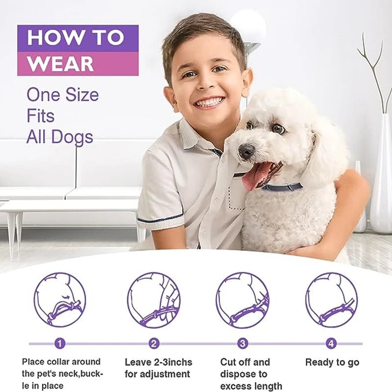 3/4 Pc Dogs Calming Pheromone Collars Cats Relieve Anxiety Adjustable Comfortable Collar For Puppy Kitten Large Pets Accessories - key words