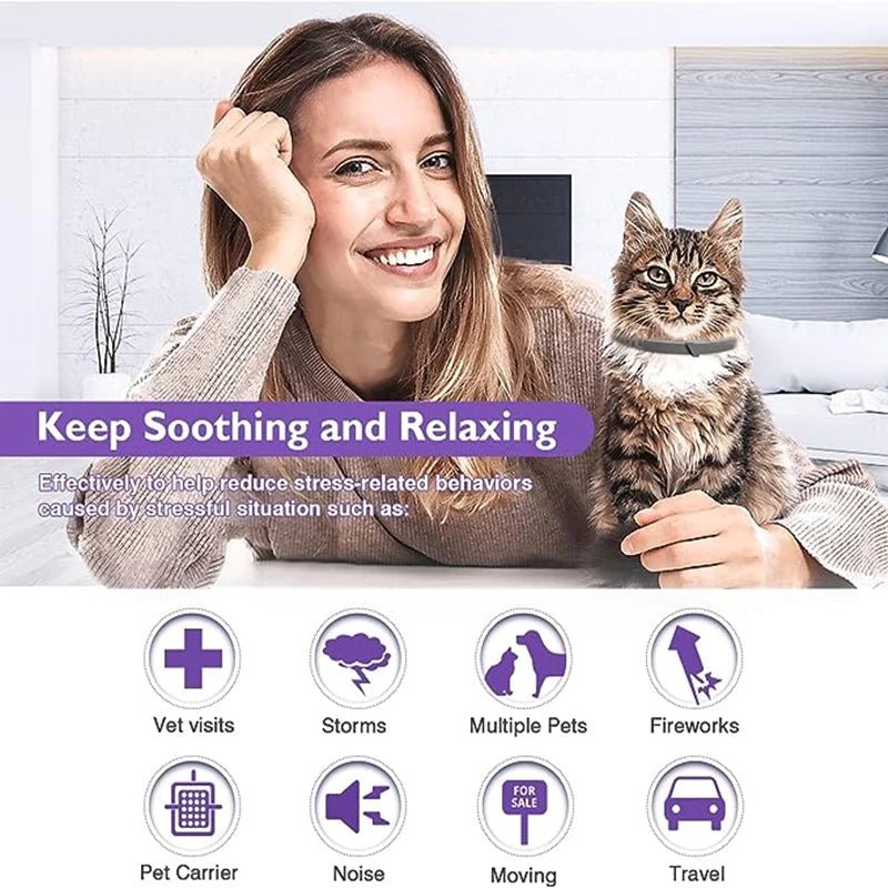 3/4 Pc Dogs Calming Pheromone Collars Cats Relieve Anxiety Adjustable Comfortable Collar For Puppy Kitten Large Pets Accessories - key words