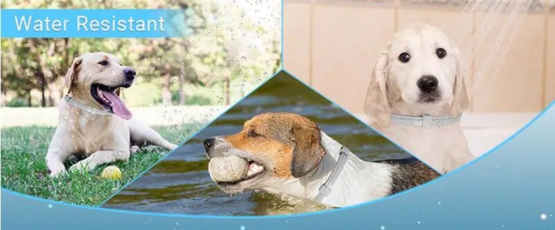 3/4 Pc Dogs Calming Pheromone Collars Cats Relieve Anxiety Adjustable Comfortable Collar For Puppy Kitten Large Pets Accessories - key words