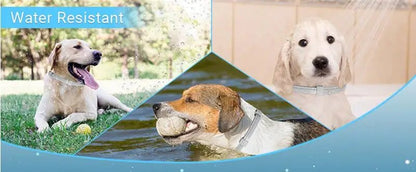 3/4 Pc Dogs Calming Pheromone Collars Cats Relieve Anxiety Adjustable Comfortable Collar For Puppy Kitten Large Pets Accessories - key words
