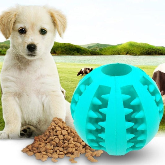 Pet Slow Feeder Dog Toy Cute Funny Rubber Dog Ball Toy - key words