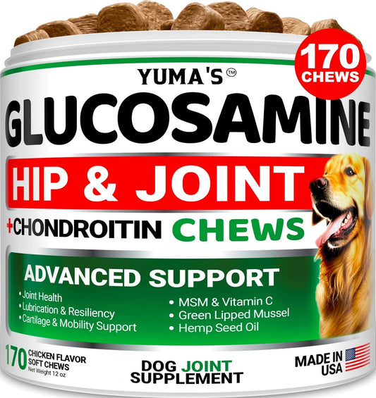 Glucosamine For Dogs Hip And Joint Supplement For Dogs 170 Ct Glucosamine Chondroitin For Dogs Chews Dog Joint Pain Relief With MSM Advanced Dog Joint Supplement Health - key words