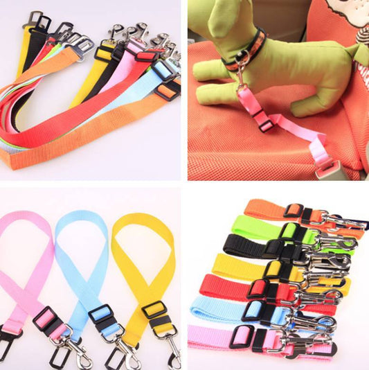 Fixed Strap Polyester Dog Strap Dog Leash Dog Leash - key words