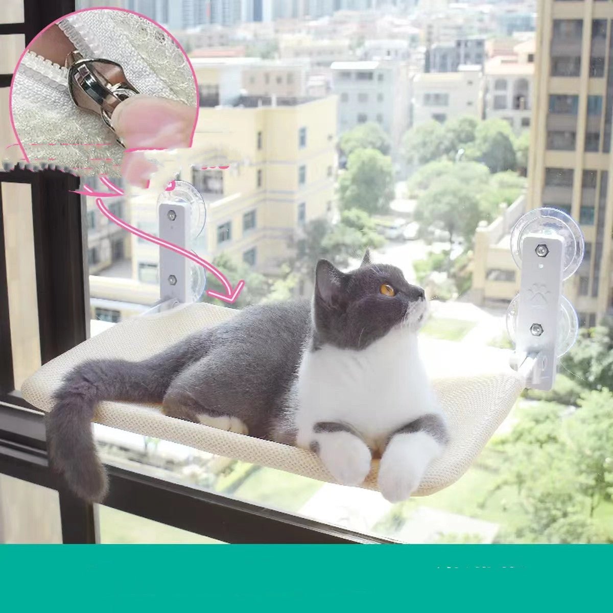 Cat Suction Cup Window Glass Hammock Pet Cat Pets Products - key words