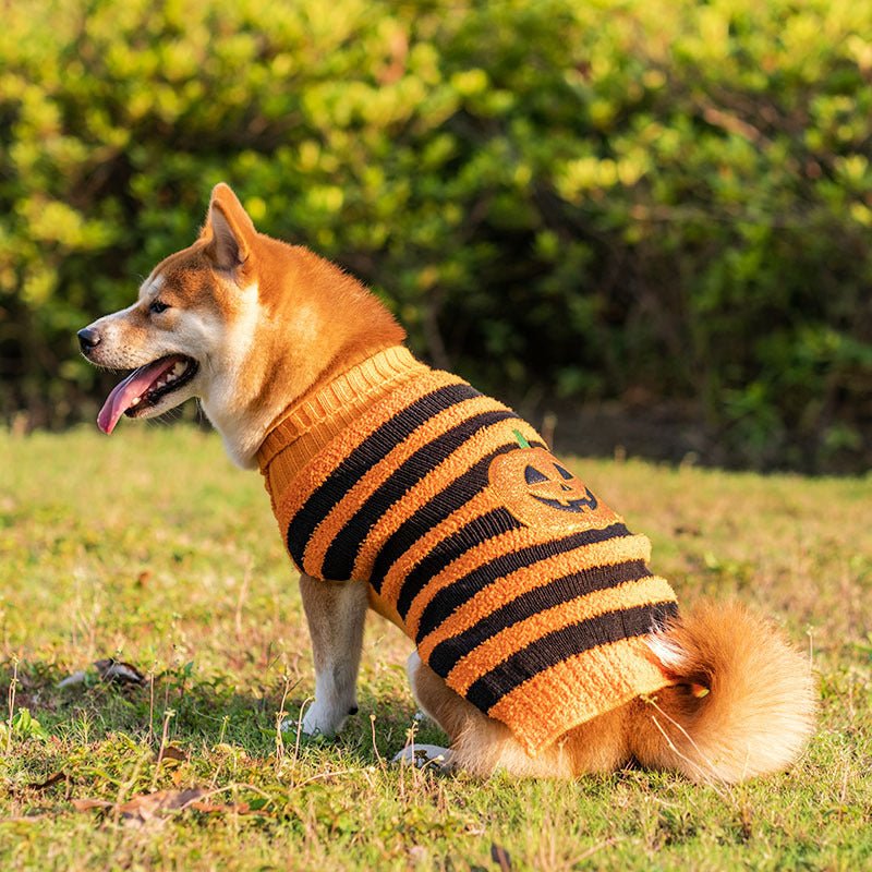 Halloween Dog Sweaters Pet Costume Teddy Warm Leisure Sweater Cosplay Clothes For Dogs Pets Outfits - key words