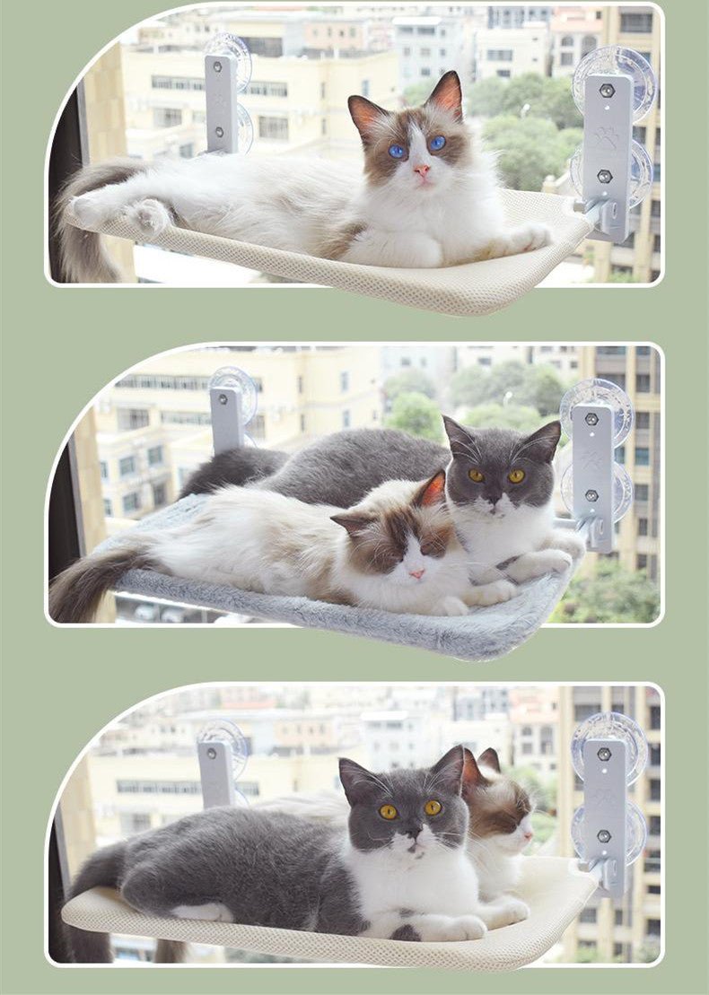 Cat Suction Cup Window Glass Hammock Pet Cat Pets Products - key words