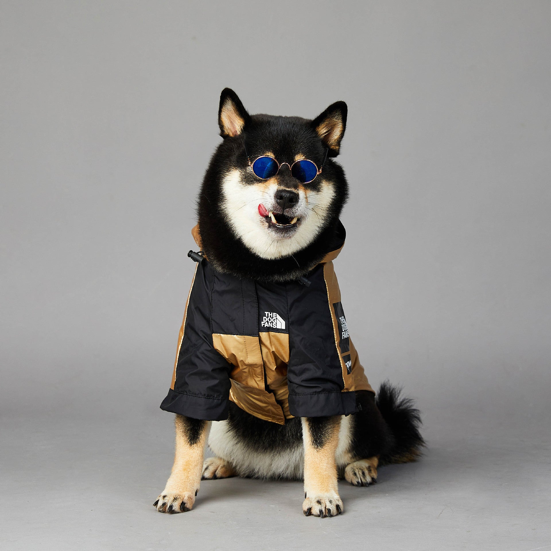 Dog Large Dog Raincoat Pet Jacket - key words
