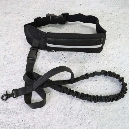 Hands Free Dog Leash Pet Walking And Training Belt With Shock Absorbing Bungee Leash For Up To 180lbs Large Dogs Phone Pocket And Water Bottle Holder - key words