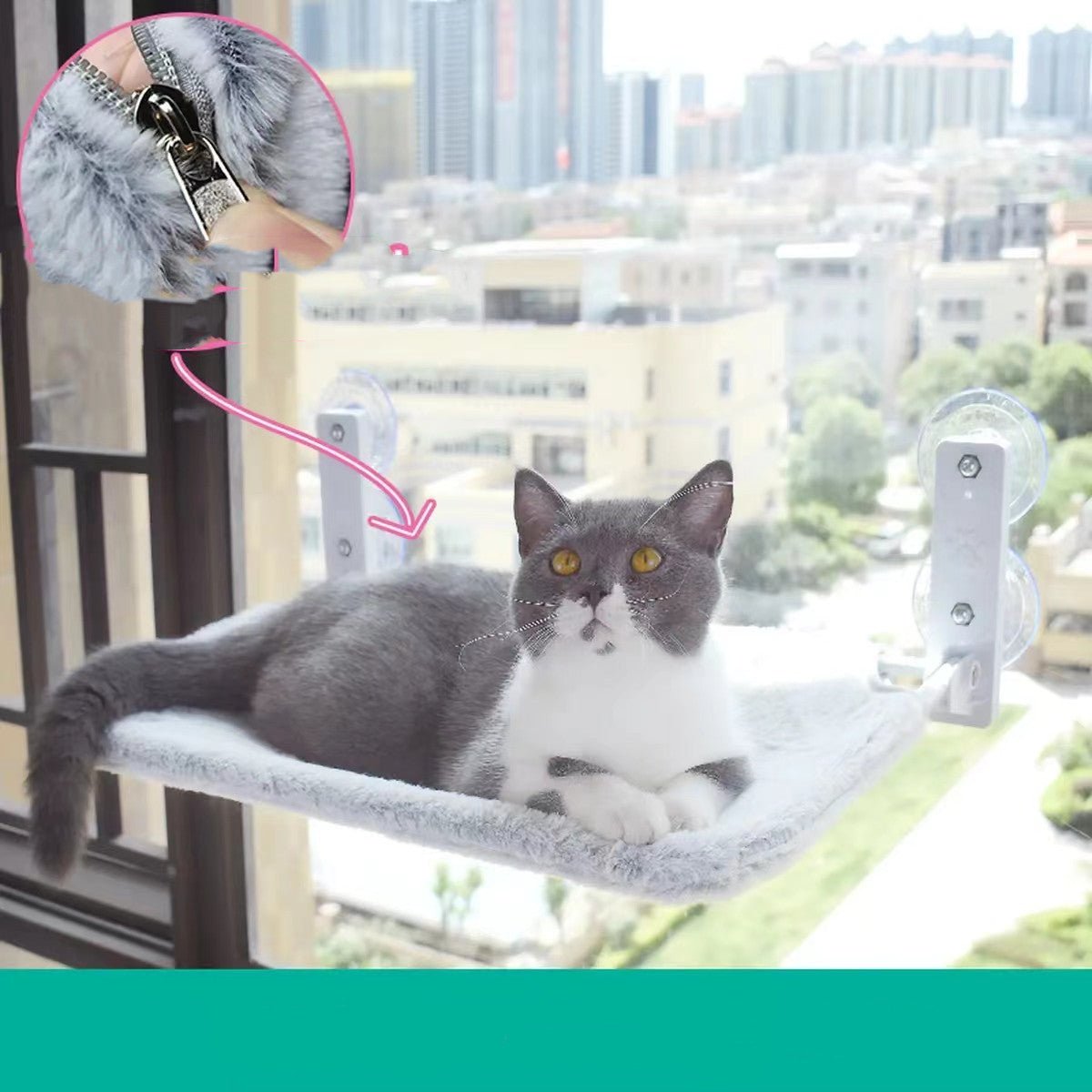 Cat Suction Cup Window Glass Hammock Pet Cat Pets Products - key words