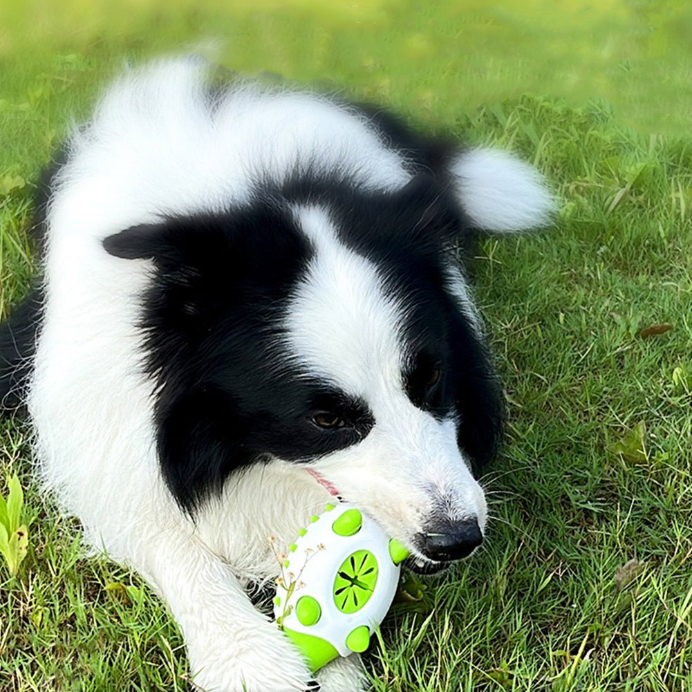 Pet Dog Toy Interactive TPR Leaking Food Toys For Small Large Dogs Cat Chewing Toys Pet Tooth Cleaning Indestructible Puppy Toys - key words
