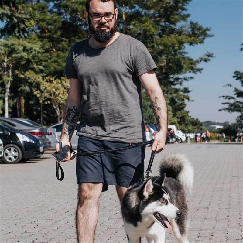 Dog Leash, Dog Leash For Large Dogs, Multifunctional Dog Leashes For Medium Dogs, Adjustable Dog Leash With Car Seatbelt, 4-6 FT Strong Bungee Dog Leash - key words