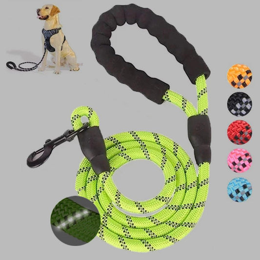 Small Medium Sized Pet Dog Luminous Leash Chain Puppies - key words