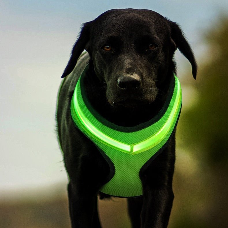 LED Luminous Dog Harness Led USB Charging Dog Chest Strap Vest Pet Safety Reflective Harness Pet Vest For Puppy Large Dog Pet Products - key words