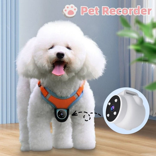 Pets Recorder Pet Tracker Collar Dogs And Cats Viewing Angle Motion Recording Camera Action Camera With Video Records Cat Collars Camera Sport Pet Products - key words