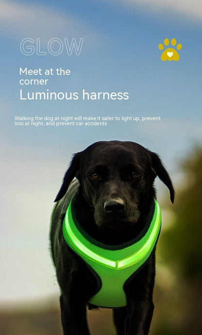 LED Luminous Dog Harness Led USB Charging Dog Chest Strap Vest Pet Safety Reflective Harness Pet Vest For Puppy Large Dog Pet Products - key words