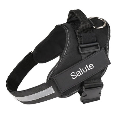 Personalized Custom Reflective Breathable Dog Harness NO PULL Adjustable Pet Harness For Small Large Dog Harness Vest With Patch - key words