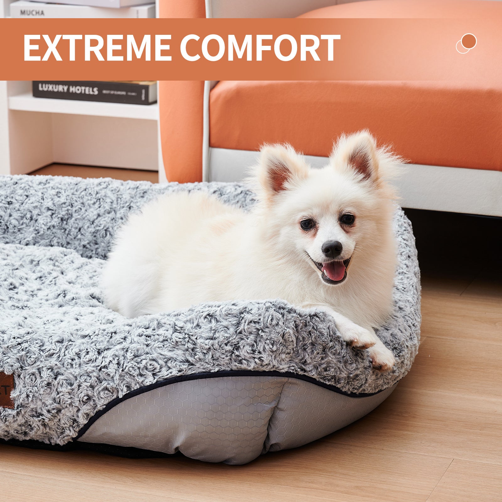 Swirl Rose Velvet Dog Beds For Small Medium Dogs Removable Cushion Calming Dog Sofa Beds Anti-Anxiety Machine Washable Cat Beds - key words
