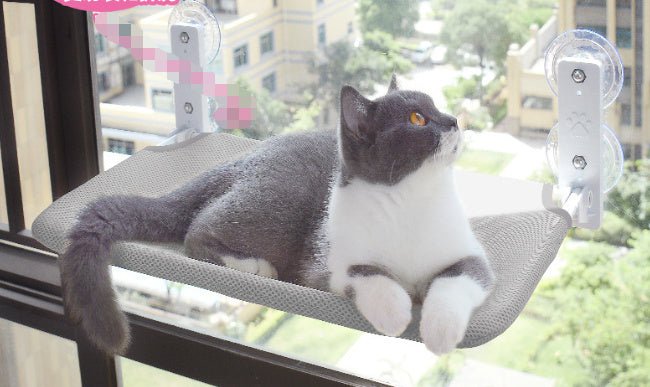 Cat Suction Cup Window Glass Hammock Pet Cat Pets Products - key words