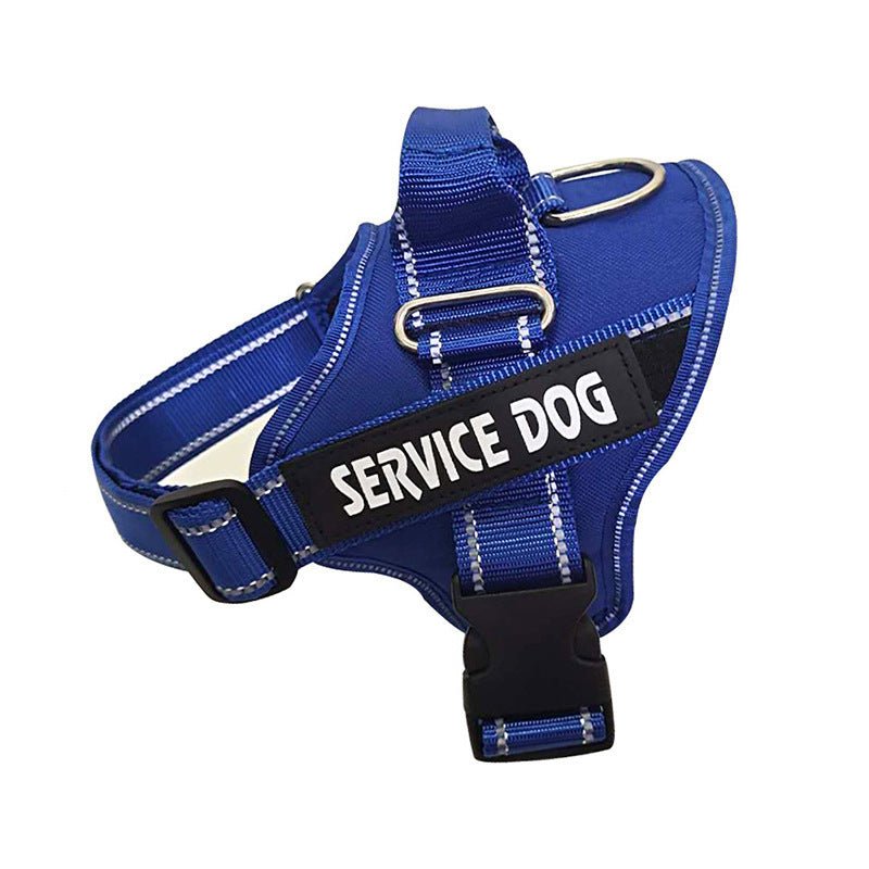 Personalization Of Pet Chest Strap Products - key words
