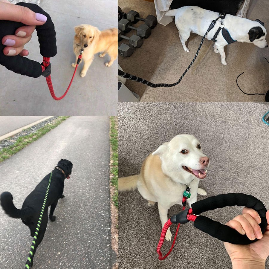 Small Medium Sized Pet Dog Luminous Leash Chain Puppies - key words