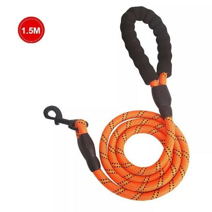 Small Medium Sized Pet Dog Luminous Leash Chain Puppies - key words