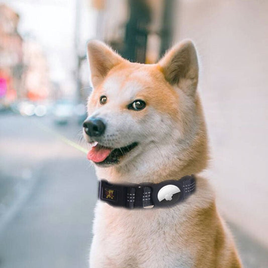 Pet Products Mobile Phone Tracker Protector - key words